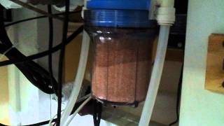 Diy Purigen Reactor [upl. by Calabrese]