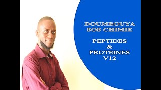 PEPTIDES amp PROTEINES V12 SEQUENCAGE DES PEPTIDES DETERMINATION DE LACIDE AMINE NTERMINAL [upl. by Morrill]