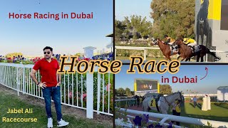 Horse Race in Dubai  Jabel Ali Racecourse  Horse Racing Vlog  Horse Race  DK Official [upl. by Juline290]