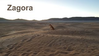 Zagora il deserto del Marocco [upl. by Kcirederf]