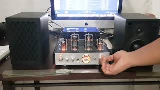 Amplificador HIbrido Monoprice Valvular Tube Amp 25 watts [upl. by Allisan152]