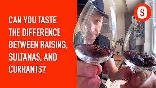 Can You Taste The Difference Between Raisins Sultanas and Currants [upl. by Yaresed872]