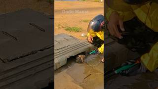 Unclogging Storm Drains to Drain Flooded Streets blockedpipe shorts video viralvideo shortvideo [upl. by Teodoro6]