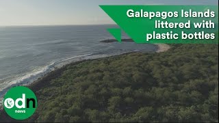 Picturesque Galapagos Islands littered with plastic bottles [upl. by Hux761]