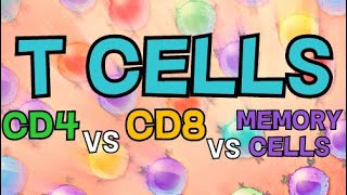 DIFFERENT TYPES OF T CELLS  CD4 VS CD8 VS MEMORY T CELLS [upl. by Eenahpets]