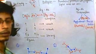 Antigens and antibodies [upl. by Malonis]