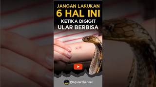 6 HAL YANG DILARANG  Saat digigit ular berbisa ular shorts shorts ularberbisa [upl. by Garnes]