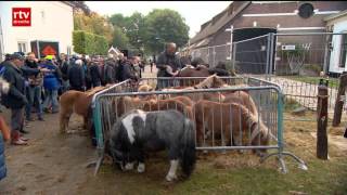 Dierenberscherming ziet nog steeds misstanden op Zuidlaardermarkt [upl. by Asoral931]