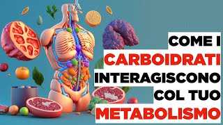 CARBOIDRATI come interagiscono col tuo METABOLISMO [upl. by Ahl]