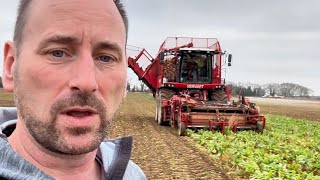 VERVAET BEET EATER HARVESTER DOES JUST THAT britishfarming [upl. by Derrej]