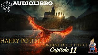 Audiolibro  Harry Potter e lordine della fenice  Lettura e Commento Cap 11 [upl. by Jannelle]