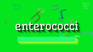 ENTEROCOCCI  HOW TO PRONOUNCE IT enterococci [upl. by Aivul892]