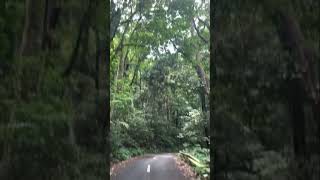 bikeandhike upsidedown six cycle mind agila makiling nature [upl. by Cutlip]