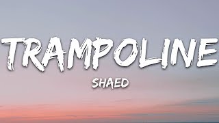 SHAED  Trampoline Lyrics [upl. by Ursel]