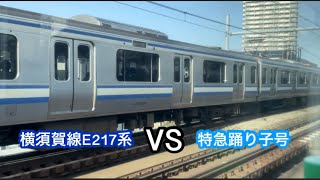 【車窓】横須賀線E217系 VS 特急踊り子号 並走 [upl. by Aikahc]