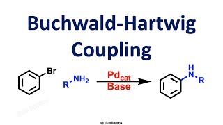 BuchwaldHartwig Coupling [upl. by Introc]