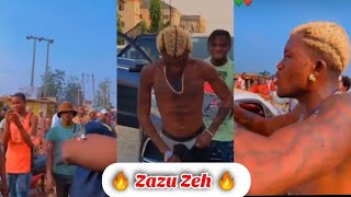 Portable x Olamide x Slimcase  Zazu Zee  Viral Videos [upl. by Ardnoed]