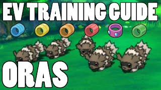 Omega Ruby Alpha Sapphire Horde EV Training Guide EV Training Horde Locations ORAS [upl. by Corsiglia514]