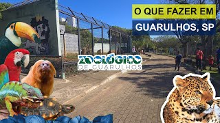 O QUE FAZER EM GUARULHOS ZOOLÓGICO GUARULHOS [upl. by Erdah809]