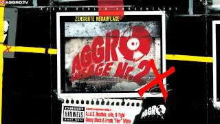 AGGRO BERLIN  PAYBACK SKIT  AGGRO ANSAGE NR 2X  ALBUM  TRACK 06 [upl. by Kassaraba]