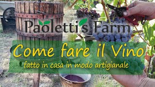 Come fare il Vino fatto in Casa in modo Artigianale [upl. by Mazel942]