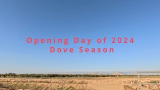 California Dove Hunting Season 2024 [upl. by Jone]