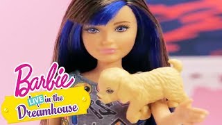 Cachorritos Compilacion  Barbie LIVE In The Dreamhouse  BarbieenCastellano [upl. by Koblick]