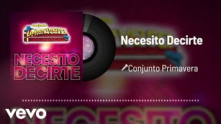 Conjunto Primavera  Necesito Decirte Audio [upl. by Ahsiek]