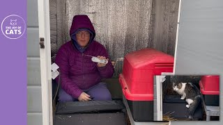 Testing the Heating Pads in Cat Houses From Inside the Cat Shed [upl. by Eserrehs]