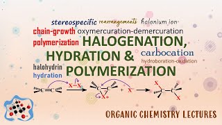 Halogenation Hydration amp Polymerization │ Alkenes amp Cycloalkenes │ Organic Chemistry [upl. by Sherline]