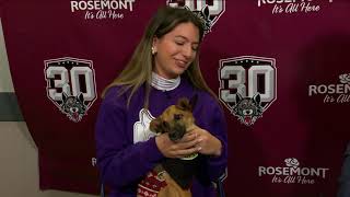 Harleigh Garcia from Border Tails Rescue Interview [upl. by Omidyar]