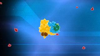 Ubiquitin System Animation  Nobel Prize in Chemistry 2004 Technion [upl. by Darom618]