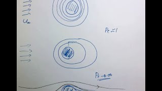 Mass transfer of dilute species and the Peclet number [upl. by Selrac]