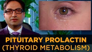 Pituitary Gland Prolactin 10 Steps To Thyroid Metabolism [upl. by Htebiram]