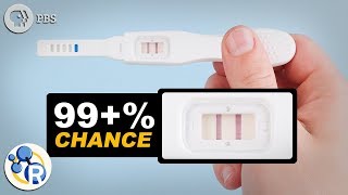 How Do Pregnancy Tests Work [upl. by Franzen660]