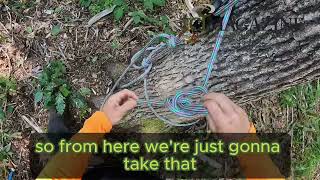 Arborist Skills  SRS Lowerable Basal Anchors Video 2 of 3 Tree Care Industry Association Magazine [upl. by Esau990]