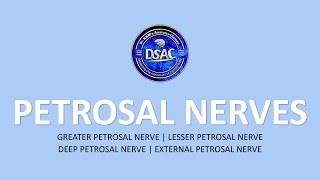 Petrosal Nerves  External petrosal n Deep petrosal n Lesser petrosal n Greater petrosal n dsac [upl. by Nuri]