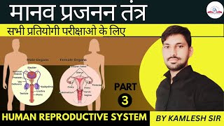 Human Reproductive System  मानव प्रजनन तंत्र  Part 3  By Kamlesh Sir reproductivesystem [upl. by Matronna]