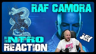 RAF Camora  Intro I REACTION [upl. by Akcimat837]