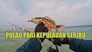 Spot Mancing di Pulau Pari Kepulauan Seribu Di jamin Nagih [upl. by Akirea]