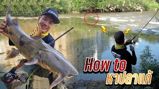 วิธีตกปลาแค้กับหมายที่มาครั้งแรก How to fish Goonch Catfish [upl. by Tally103]