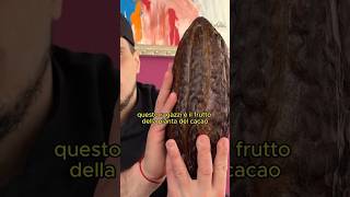 Ho deciso di provare a produrre il MIO CIOCCOLATO Parte 1 food shorts [upl. by Montgomery]