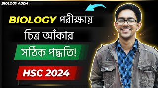 🔥 Biology পরীক্ষায় চিত্র আঁকার সঠিক নিয়ম  কিভাবে আঁকলে চিত্রে ফুল মার্কস পাবে  HSC 2024 [upl. by Isiahi]