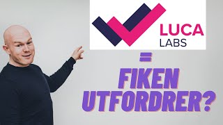 Fiken vs Luca Regnskap Hva sier autorisert regnskapsfører [upl. by Engvall10]