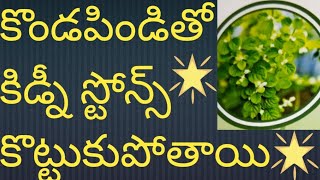 Kidney stones Remedy with Kondapindi churnam [upl. by Calista]