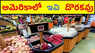 నేను ఆశ్చర్య పోయా 🔥 America Telugu Vlogs 🔥 Texas State Travel 🔥 Cities To Visit in USA [upl. by Anaidni]