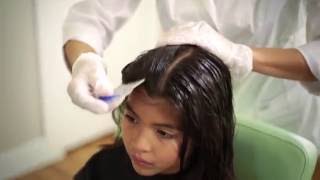 Full Service Lice Removal Treatment  Lice Clinics of America [upl. by Moth516]