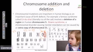 Chromosomal mutation [upl. by Nema]