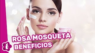 Rosa mosqueta beneficios y usos en el mundo de la belleza [upl. by Katerina]