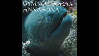 Gymnothorax Annasona  Knotted to D [upl. by Glanti]